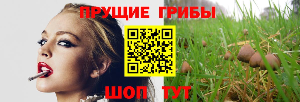 Псилоцибиновые грибы MAGIC MUSHROOMS  Вход с VPN  Нефтеюганск  Псилоцибиновые грибы Cubensis 
